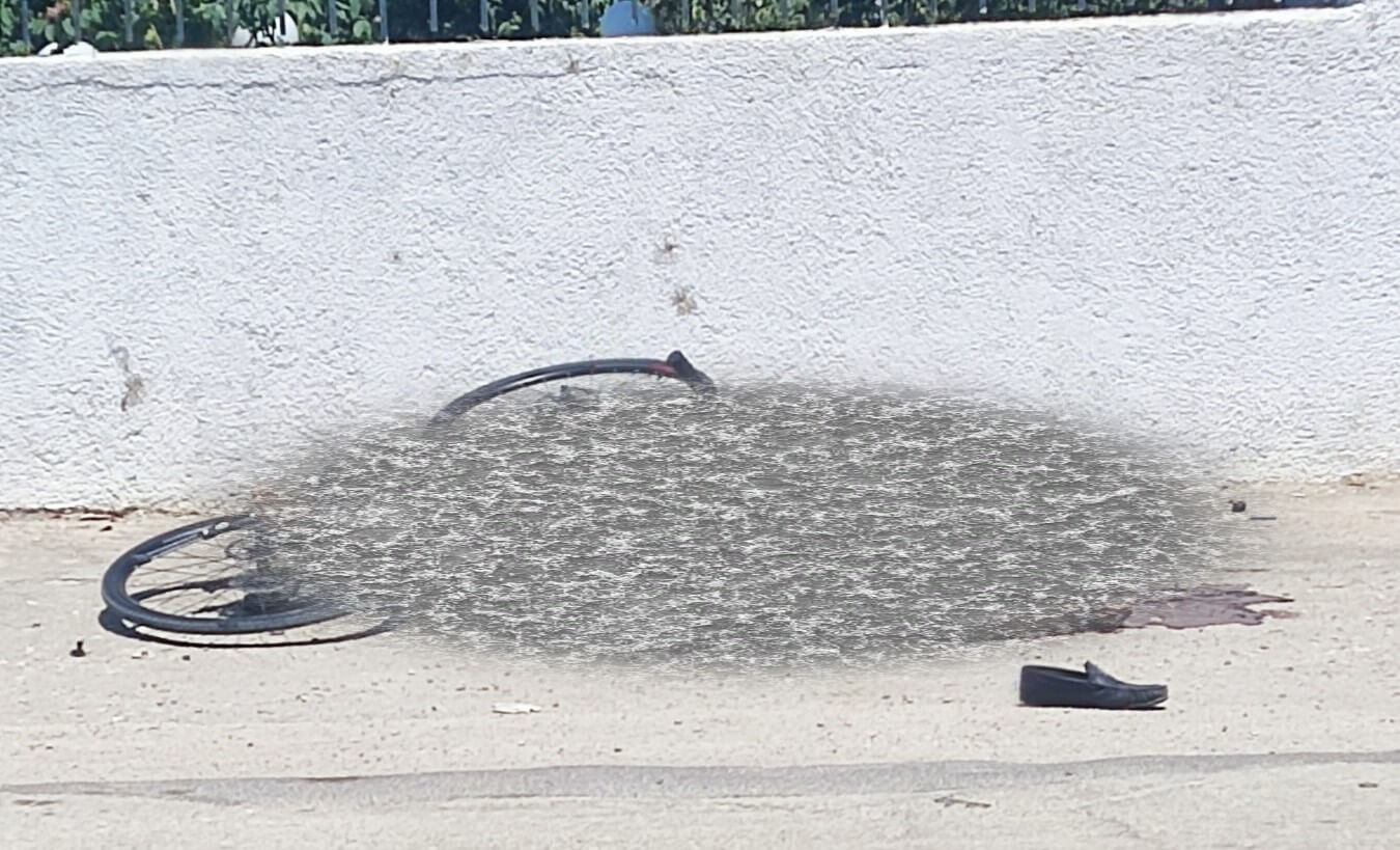 εικόνα_Viber_2024-08-01_13-32-33-242