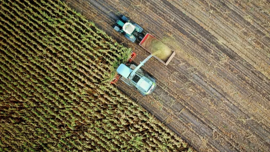 2794acc7-no-one-cares-l_5MJnbrmrs-unsplash