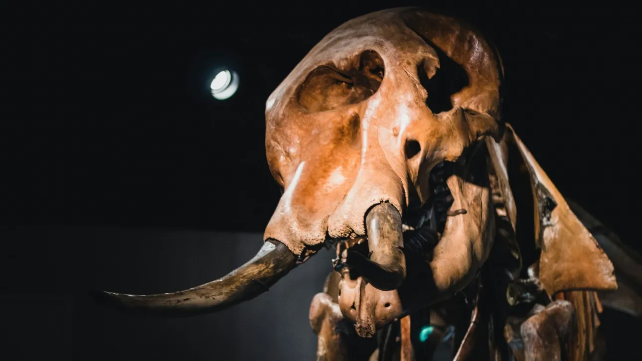 5dbc43c4-sean-foster-t-ItS_vBp88-unsplash