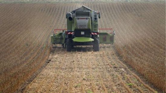 agrotes-550x309-1