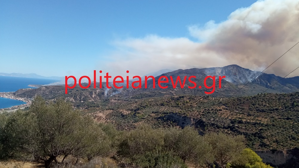 fotia akrata
