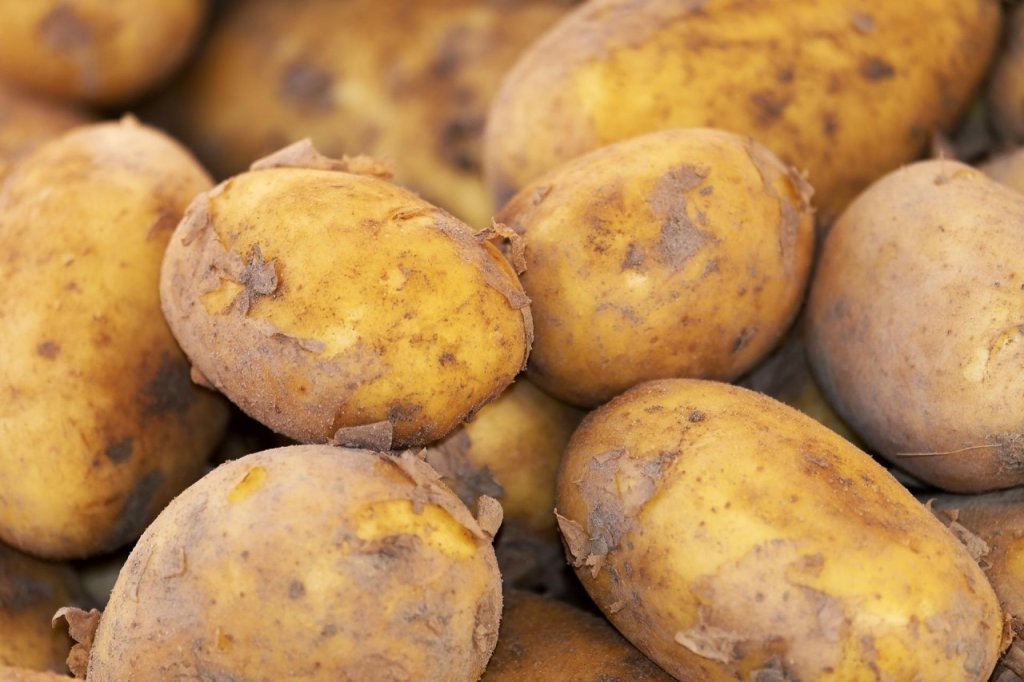 potato-3440360_1920-1280x853