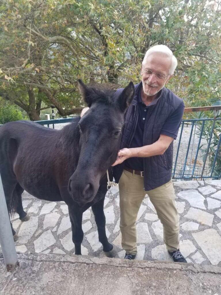 ρωροσ αλογο (1)