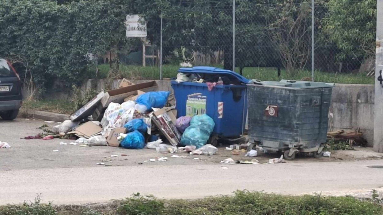 SKOYPIDIA-e1727349084955