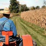 Ενιαία Αίτηση Ενίσχυσης: Διορθώσεις για τα έτη 2024 και 2025 – Ποιους παραγωγούς αφορά
