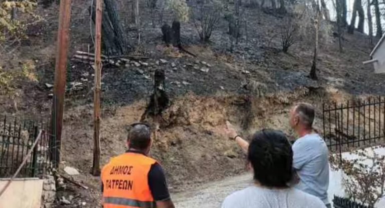 Μετατίθενται για Νοέμβριο οι εργασίες καθαρισμού και υλοτομίας στο Γηροκομειό-Ανάστατοι οι κάτοικοι