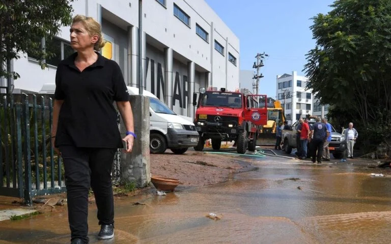 3dc8e6ea0fb38355bdf2c7338a1fd17a_2610520-1-1-768x480