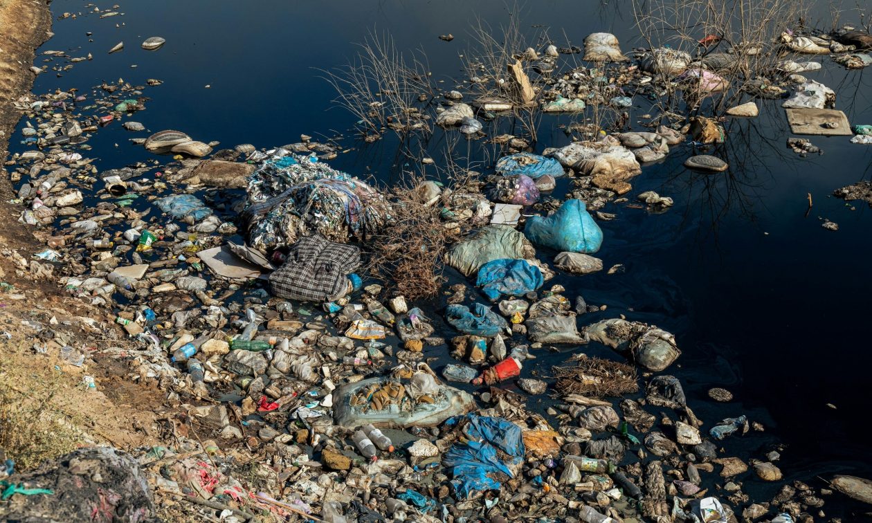 91987647-pexels-collab-media-173741945-15060365