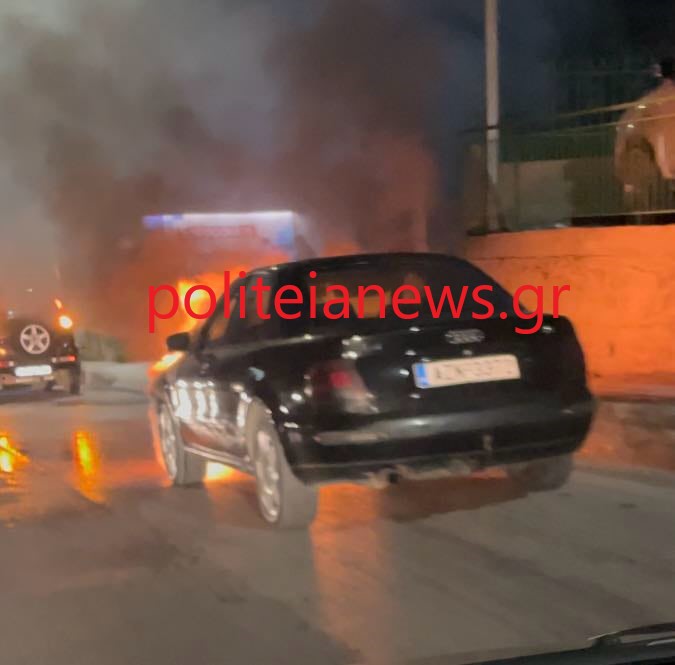 photo_2024-11-05_08-52-41