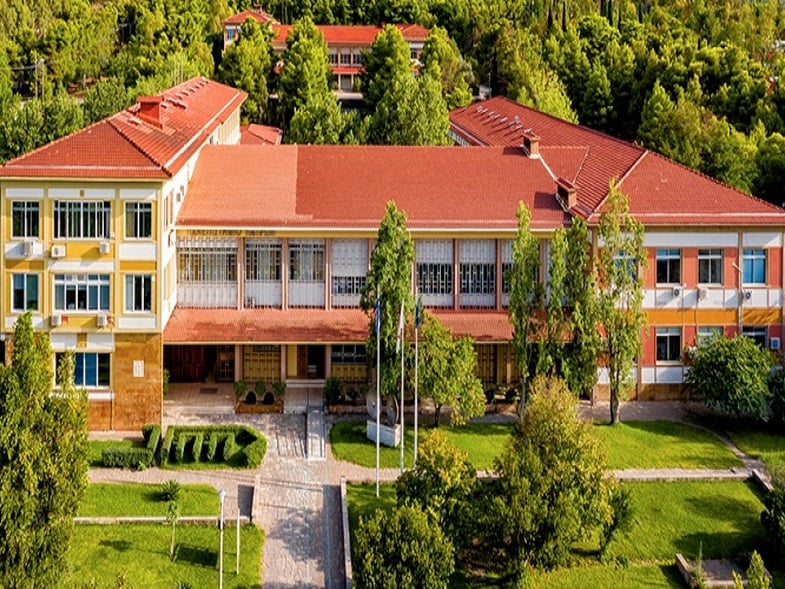 zgdekjqjbe6742c6bb07603