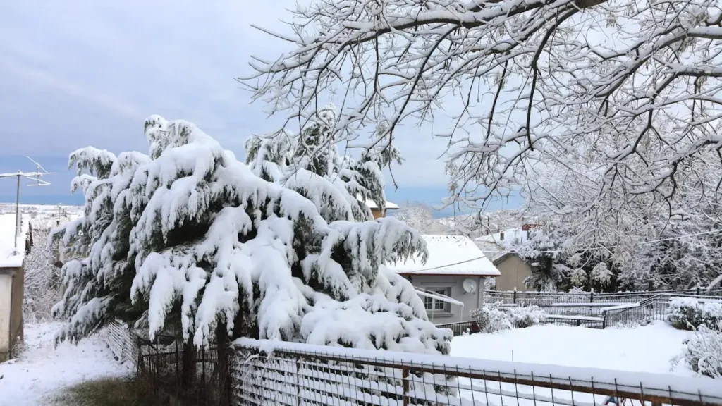 xionia_eurokinissi-1200x675