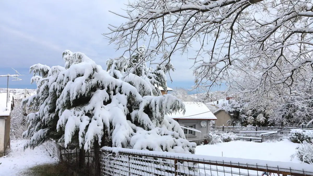 xionia_eurokinissi-1200x675