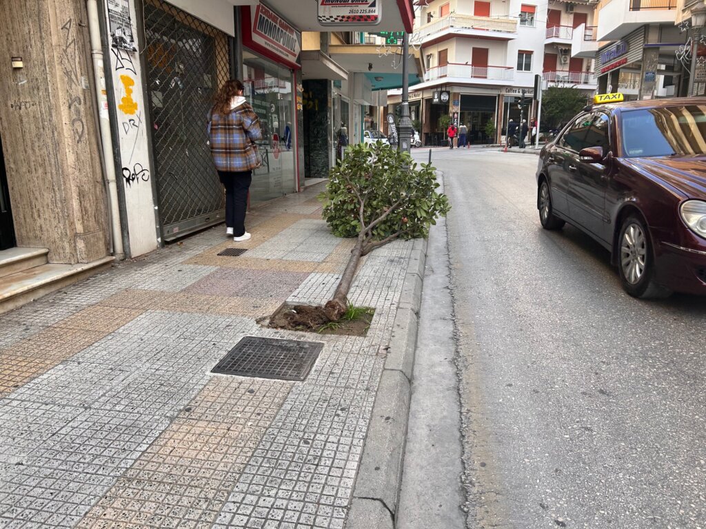 δενδρο (1)