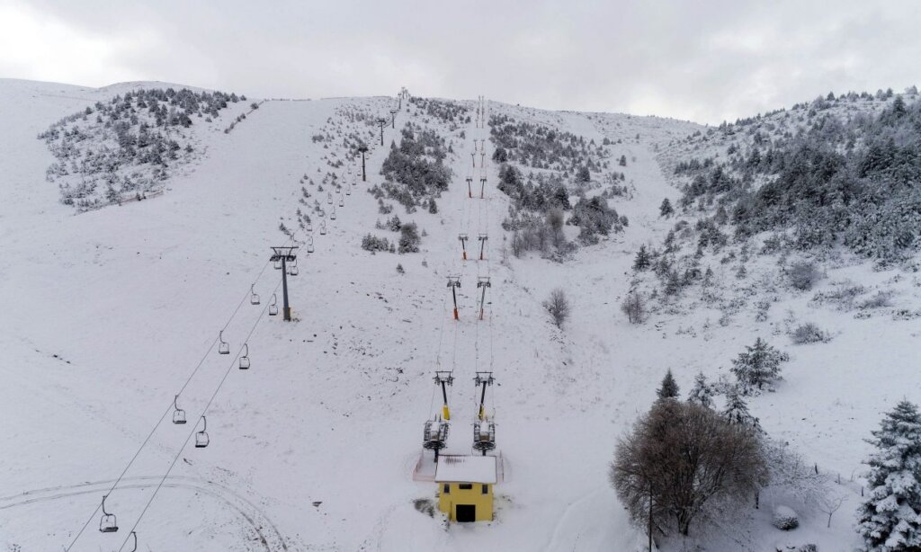 1736265865357-229814309-seli