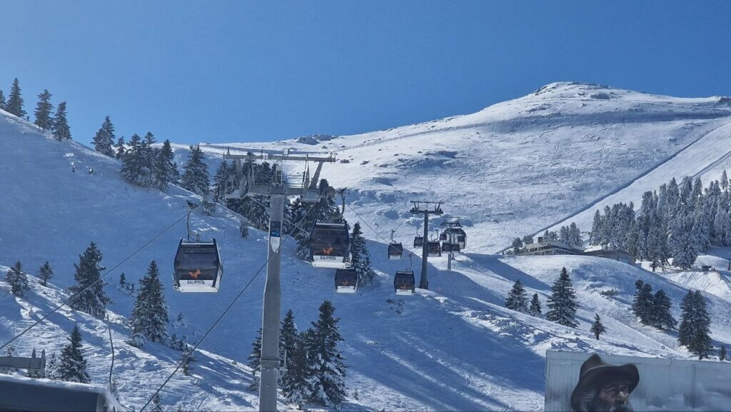 photo_2025-01-02_09-17-51