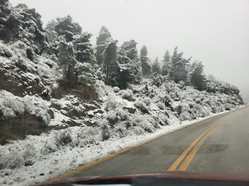 photo_2025-01-13_11-05-25 (2)