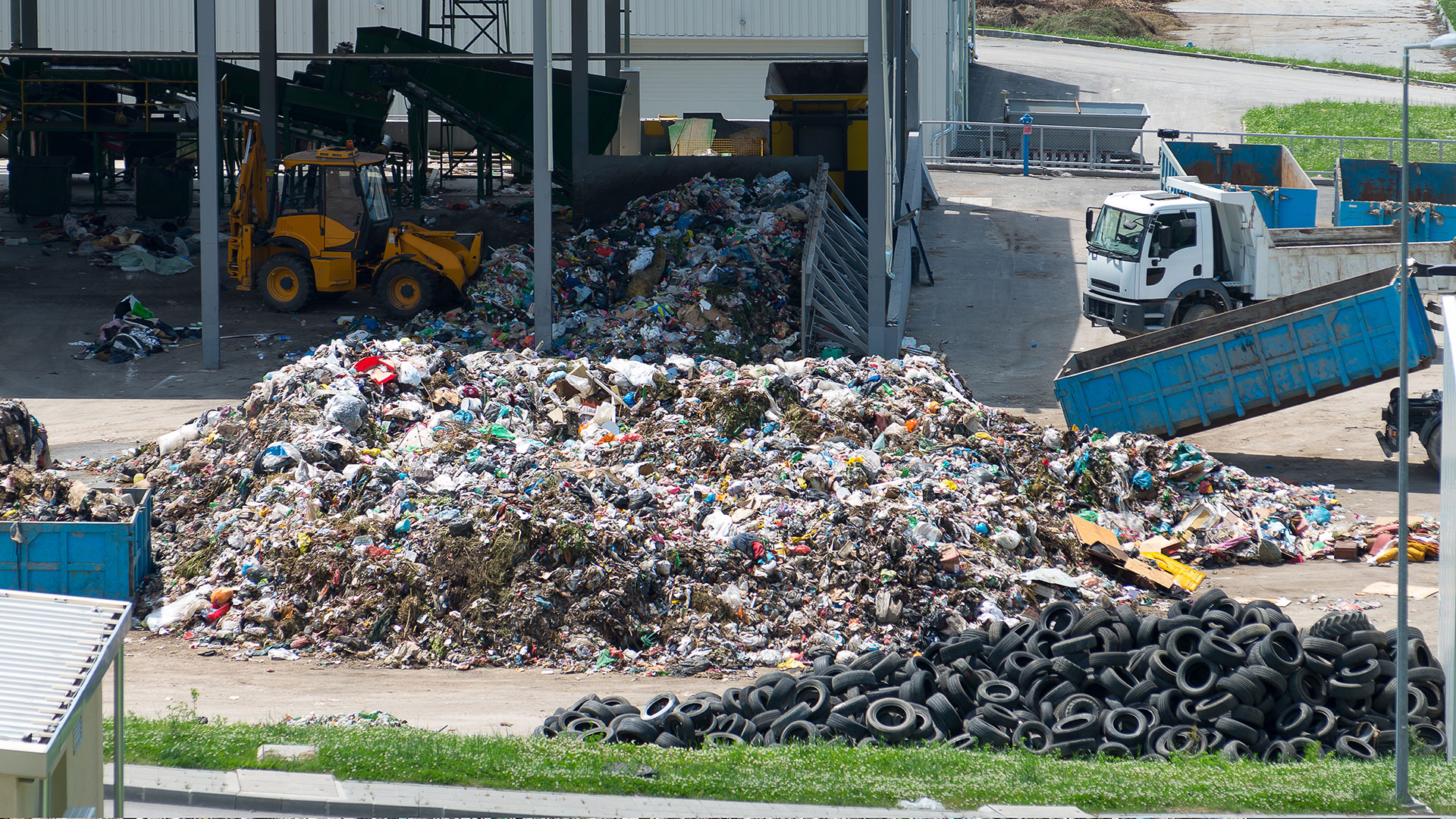 shutterstock_1030373158