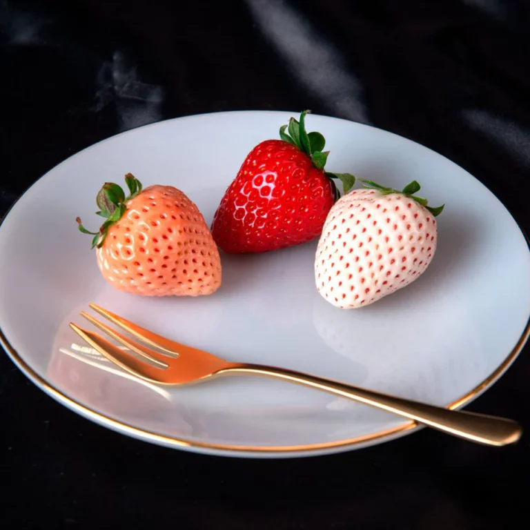 04______x_x__060723-768x768