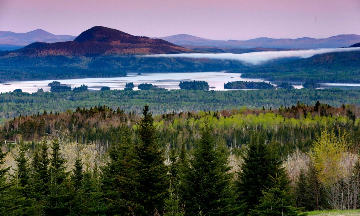 0a8af488-Environmentalist