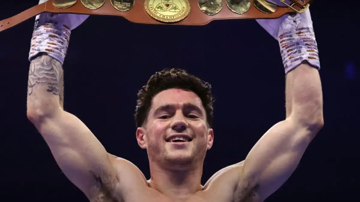 boxer-1200x675 (1)