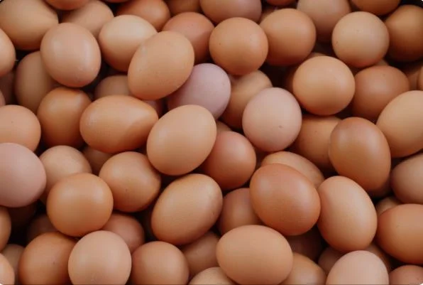 eggs