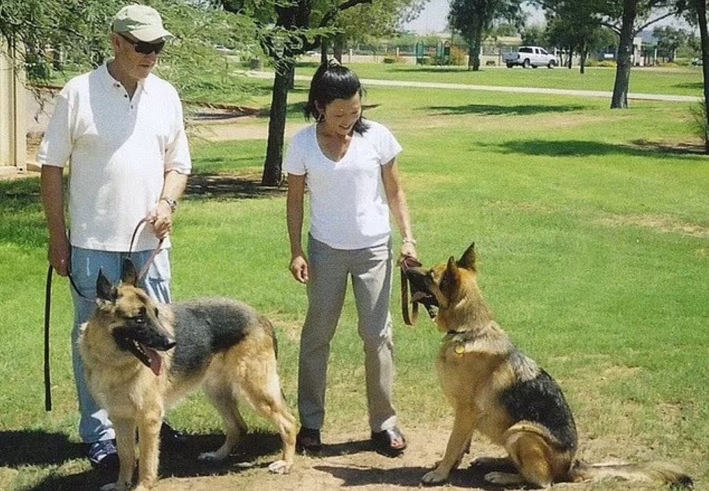 95794083-14456679-The_couple_is_seen_introducing_their_new_rescue_Roscoe_right_to_-a-81_1741094760183-e1741159731944