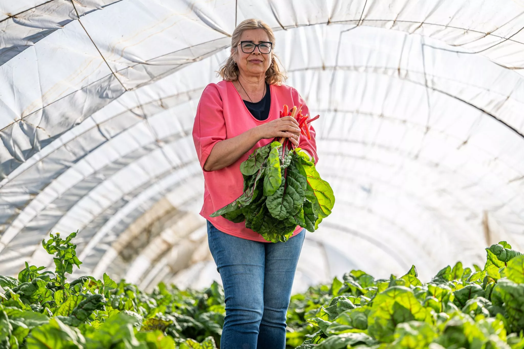 cantina-academy-agrifood-2048x1365