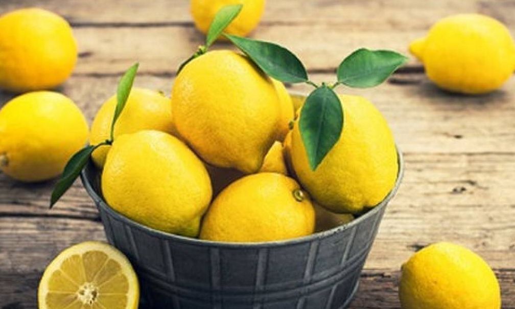 lemonia
