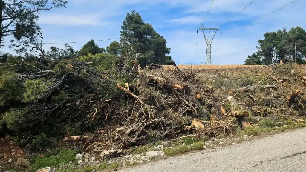 oik