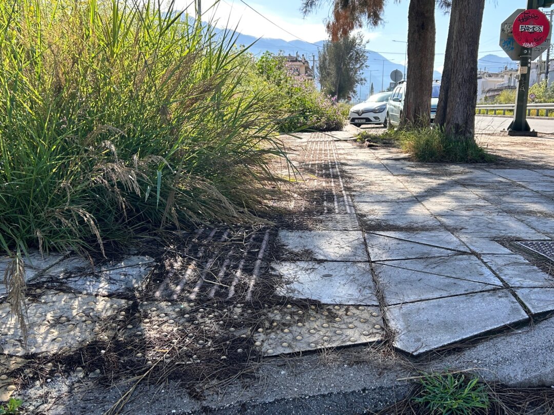 venizeloy xortaria fanaria (3)