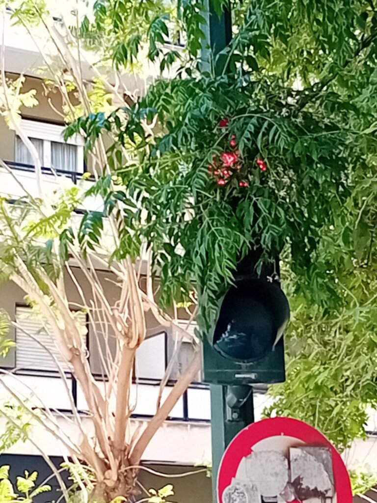 (ΔΕΞΙΑ)Φαναρι (1) (ΔΕΞΙΑ)Φαναρι (1)
