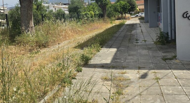 Προαύλιο σχολείου της Πάτρας με χόρτα 1,5 μέτρο – Έχει γίνει αίτηση στον δήμο εδώ και δύο μήνες – Εικόνες