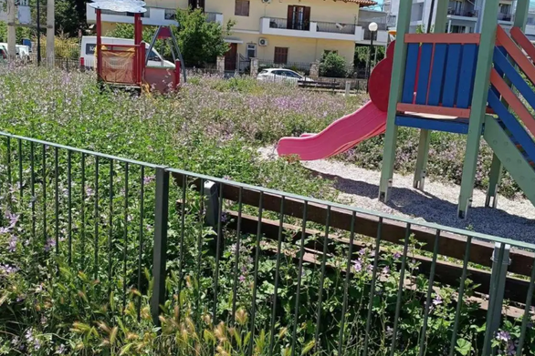 ΠΑΤΡΑ: Ζούγκλα η παιδική χαρά κοντά στο ΣΕΓΑΣ - ΦΩΤΟ