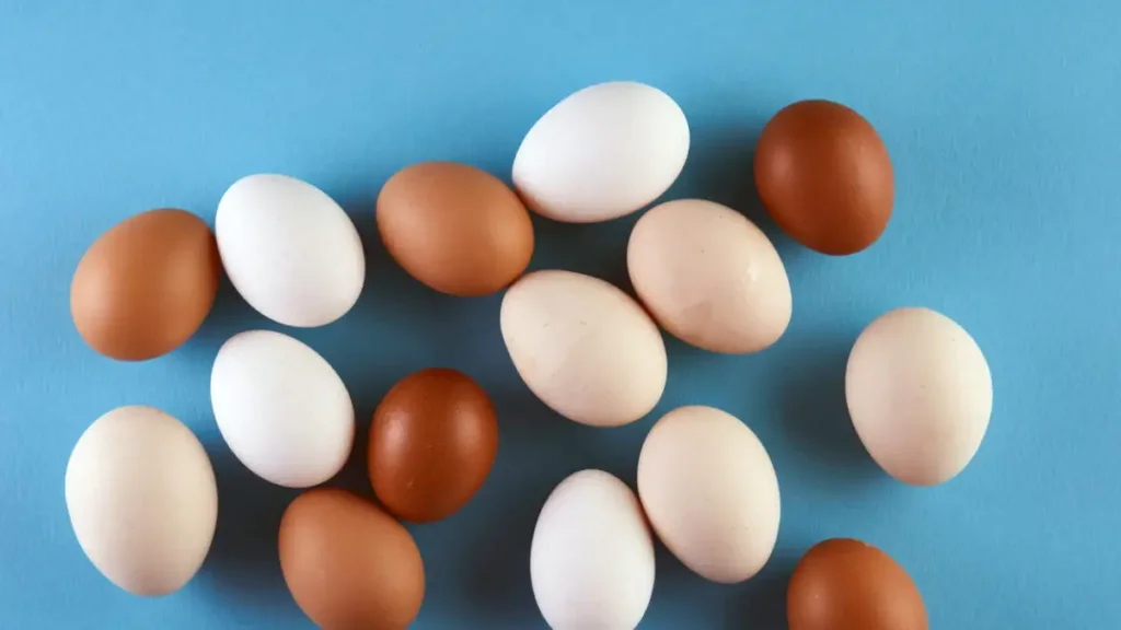 EGGS