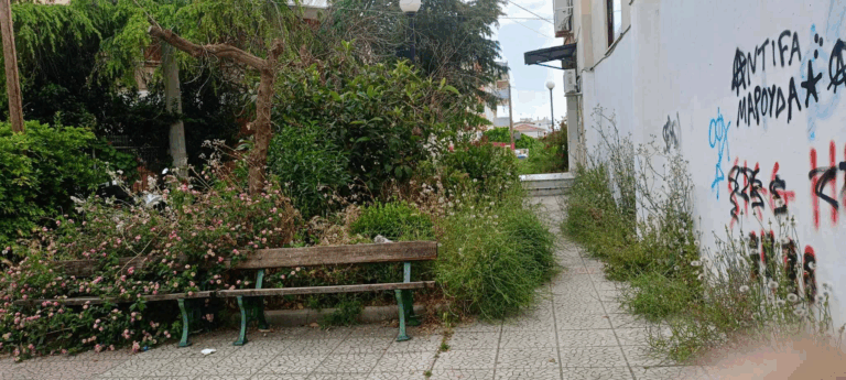 ΠΑΤΡΑ: Χορτάρια στην Αλεξιώτισσα