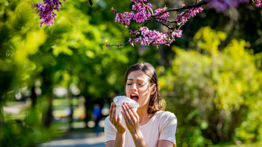 Young pretty woman blowing nose in front of blooming tree. Spring allergy concept
