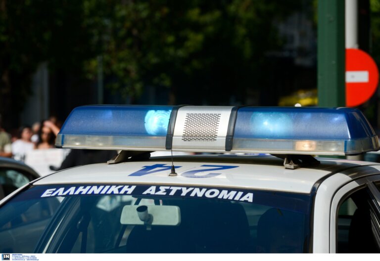 Νέα Φιλαδέλφεια: Άρπαξαν… παπαγάλο από φυτώριο μαζί με το κλουβί – «Είχε συναισθηματική αξία» λέει η ιδιοκτήτρια