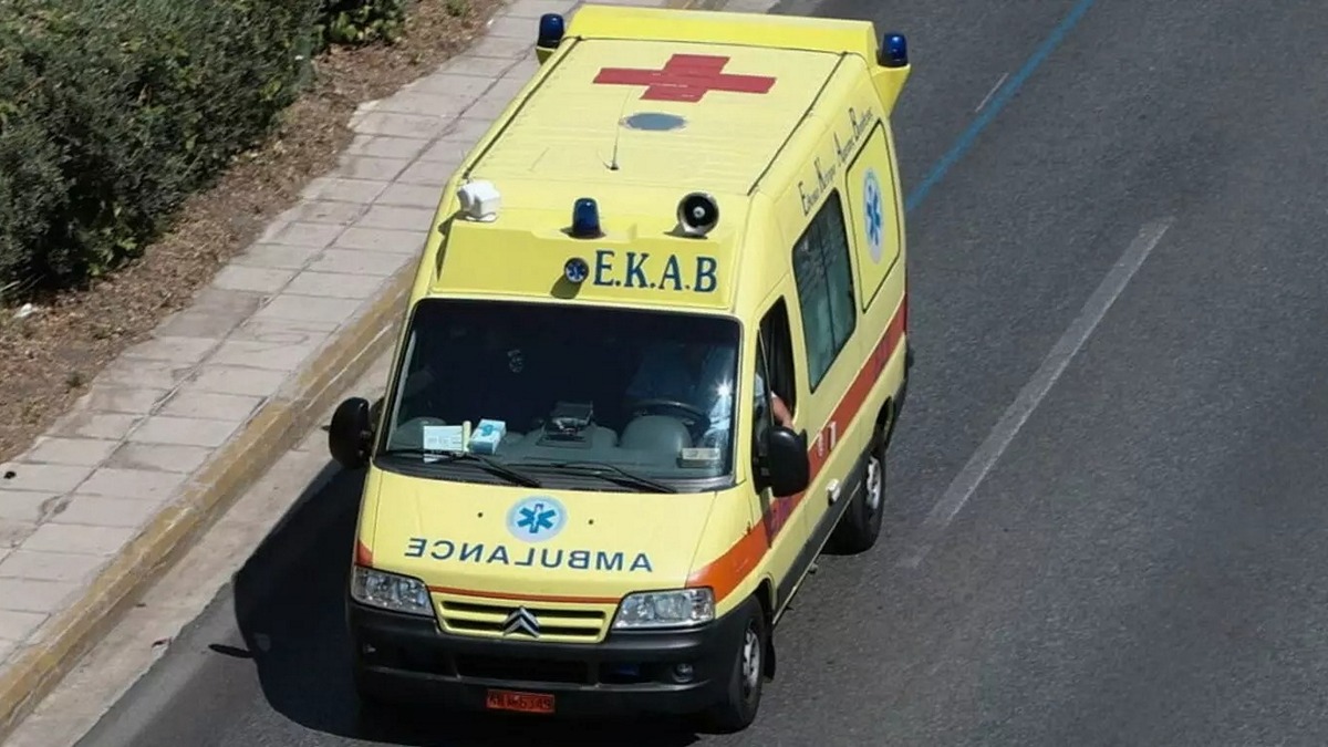 ekav-1-1