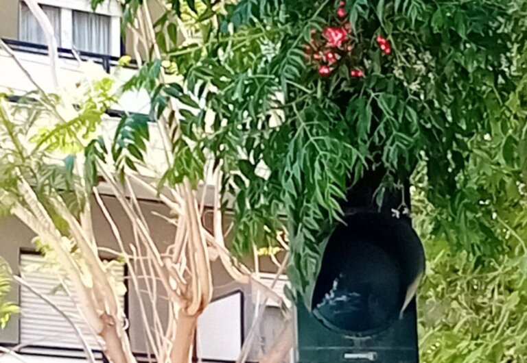 ΠΑΤΡΑ: "Πράσινο" με τα "όλα" του αυτό το φανάρι! Αν το καταλάβεις οδηγώντας... (ΦΩΤΟ)