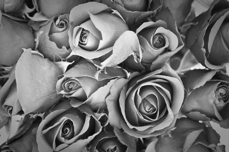 funeral-flower-guide-content-img3