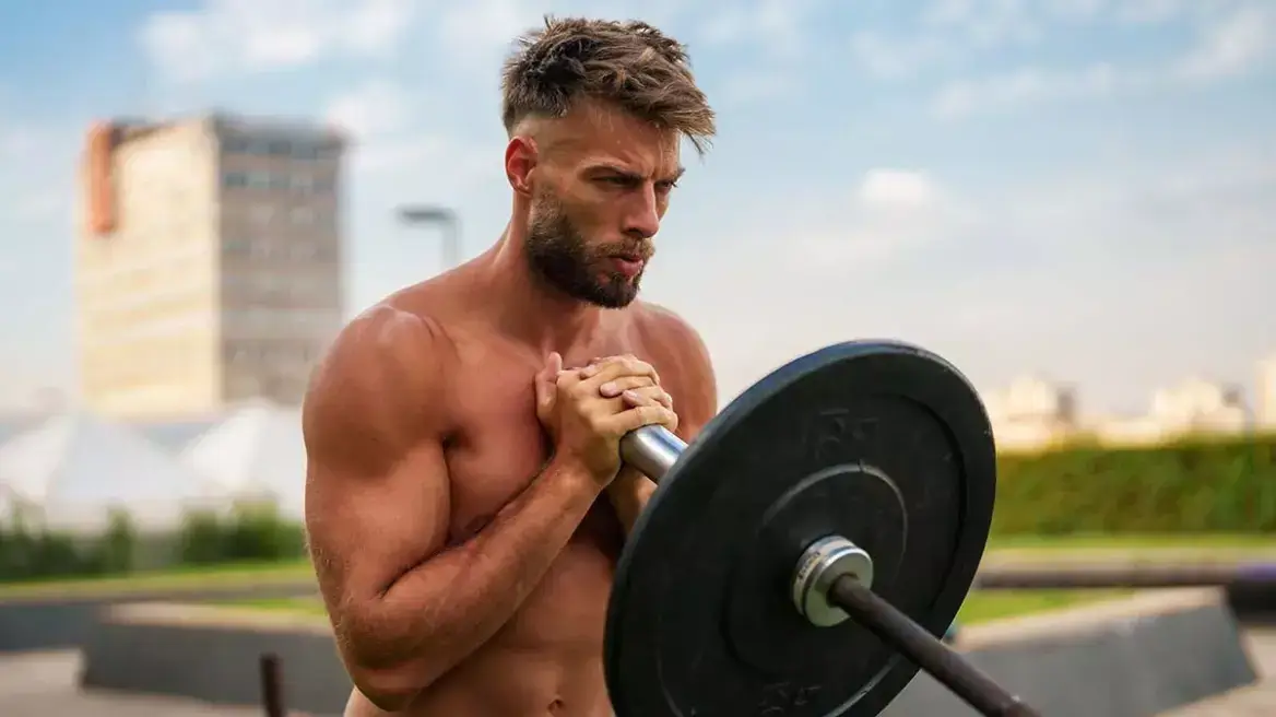 muscular_2517254431