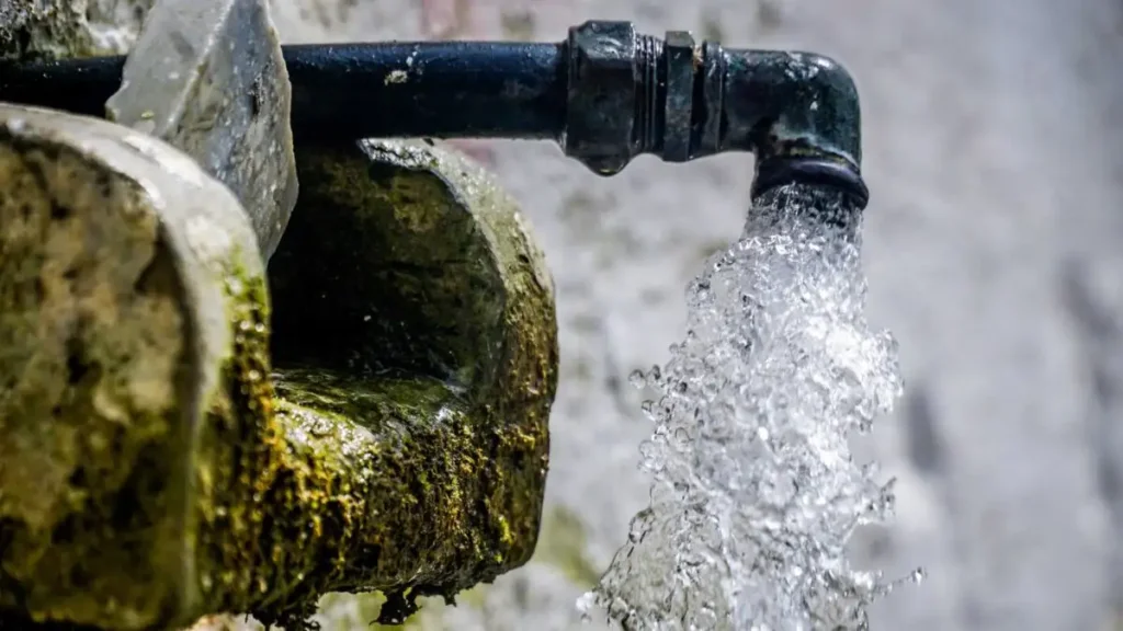 nero_vrusi_eurok-scaled-1-1200x675