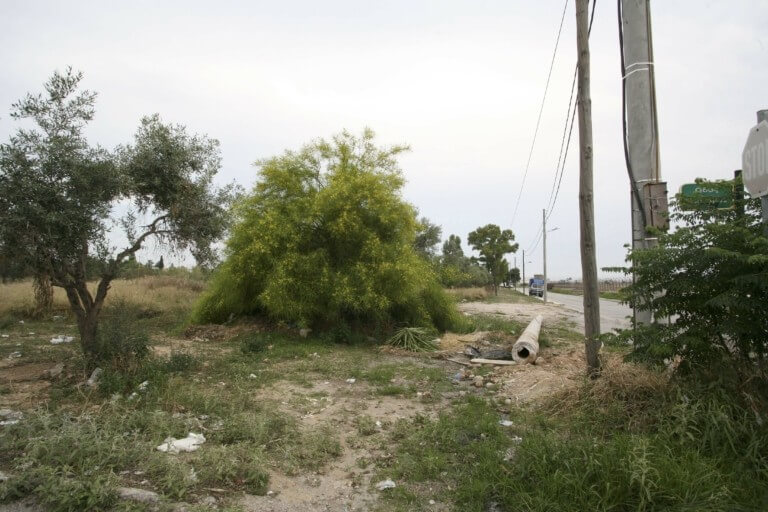 Οικόπεδα: Τρέχουν να δηλώσουν καθαρισμούς – 82.000 αιτήσεις σε 10 μέρες