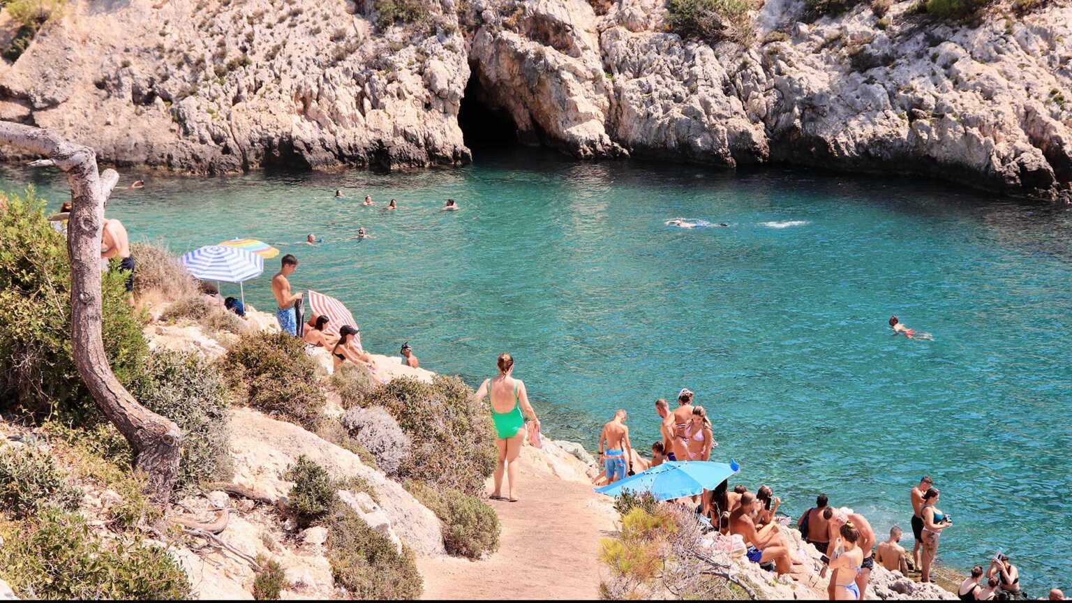 shutterstock_2582172051