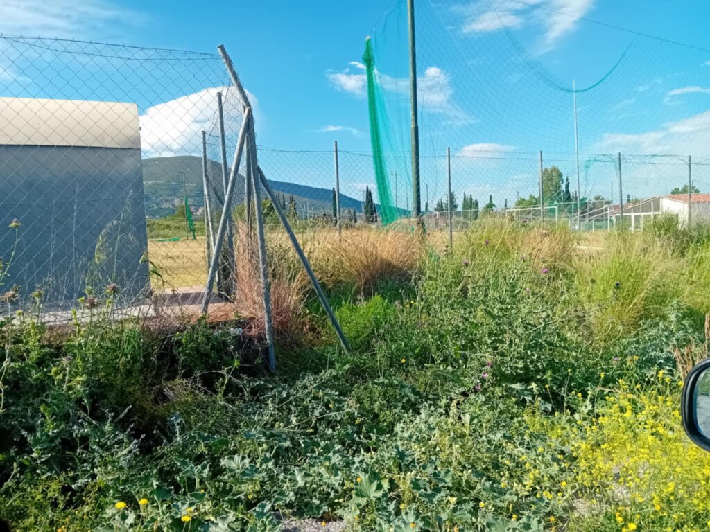 Εγλυκαδα (1) (1)