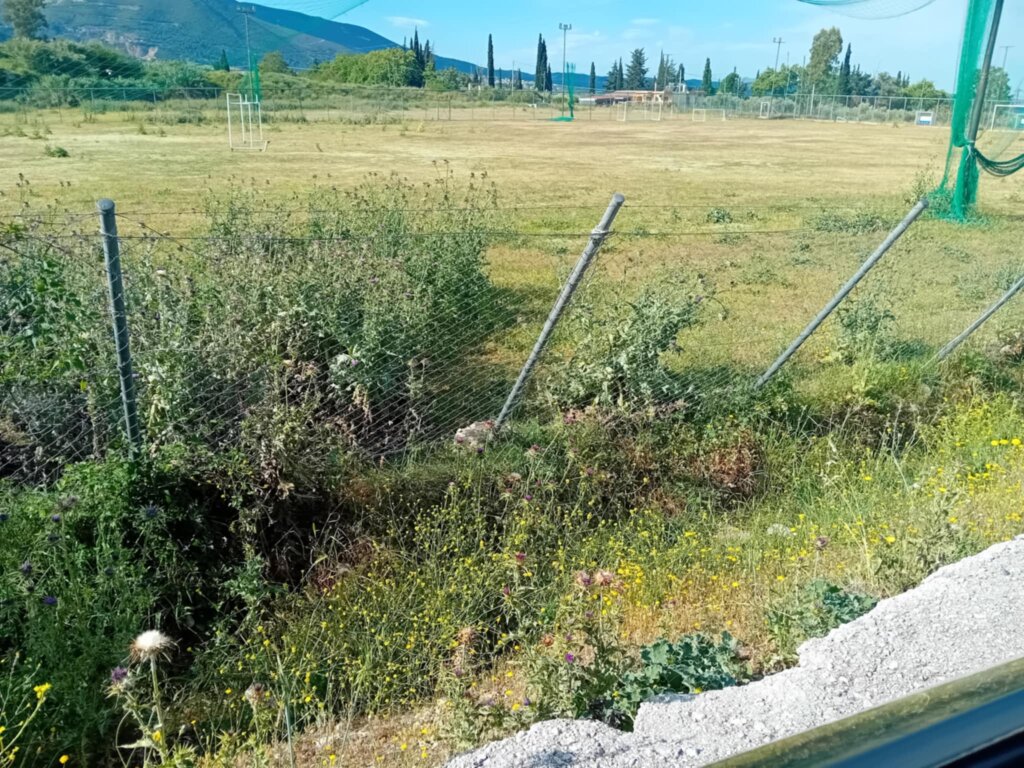 Εγλυκαδα (4) (1)