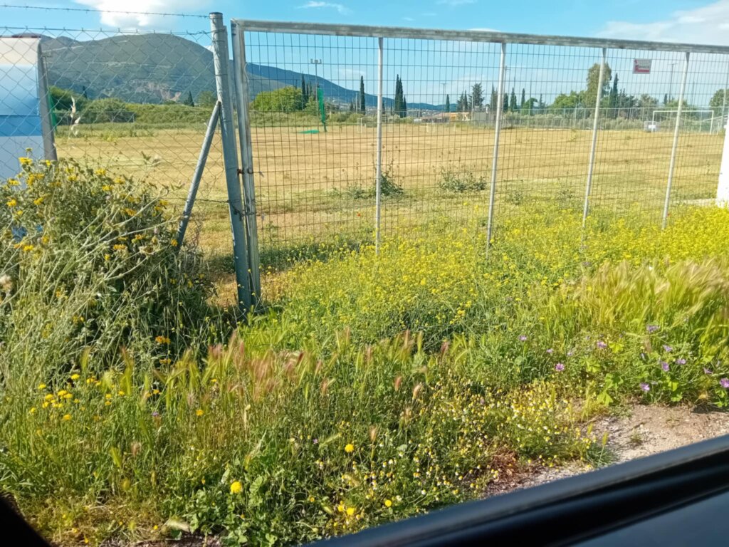 Εγλυκαδα (5) (1)