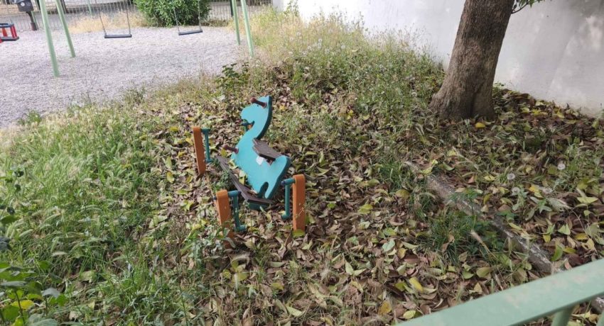 498186744_10223262826717486_1489897288856166280_n-scaled-850x460