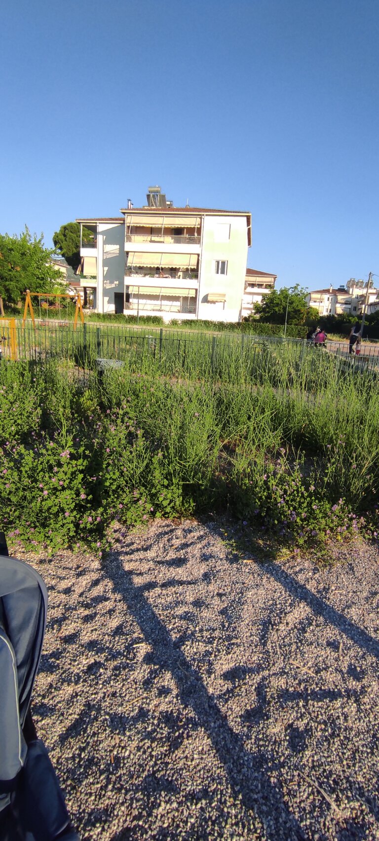 ΠΑΤΡΑ: Τα χάλια στην παιδική χαρά της Παραλίας Πατρών (Εργατικές Κατοικίες)