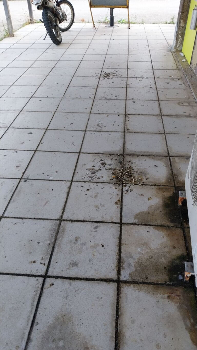 ΠΑΤΡΑ: Απίστευτες σκηνές στο κτίριο του πρώην Δήμου Παραλίας